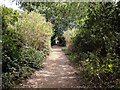 Old railway track now a footpath and cycling route between Highgate and Finsbury Park