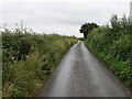 Catton Lane heading towards Topcliffe