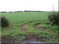 SE3877 : Field entrance giving access to a field of clover by Peter Wood