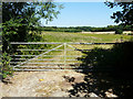 Pastoral scene from Warehorne Road (B2067)