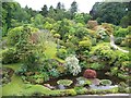 Rock garden in front of Mount Stuart