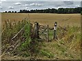 Countryside south of Thurgarton Priory