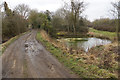 Pond by Crag Pit Wood