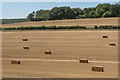 Newly harvested field