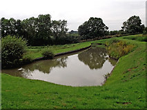 SP5968 : Sidepond by Watford staircase locks, Northamptonshire by Roger  Kidd