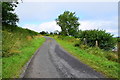 H3572 : Magharenny Road, Magharenny by Kenneth  Allen