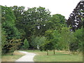 Path between The Avenue and French Street