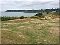 Newton Cliff above Caswell Bay