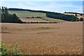 Farmland below Wooden Hill