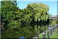 Kennet and Avon Canal below Colthrop Lock