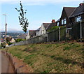 Houses on a bank above Christchurch Road, Newport