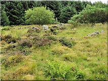 NJ9451 : White Cow Cairn by Andrew Wood