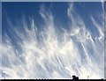 Cirrus clouds