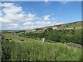 Bollihope Burn Valley