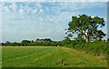 Pasture and bridleway north-east of Crick in Northamptonshire