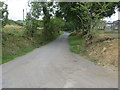 Back House Lane near Shore