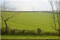 Rolling cornish landscape