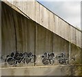 SX2064 : Graffitied bridge by N Chadwick