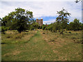 TQ8038 : Orchard, Sissinghurst Castle Gardens by Paul Gillett
