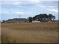 Field of barley and Northfield Farm