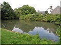 Pond on Lodge Hill Lane, Ditchling