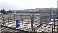 Cattle loading pens, Marton