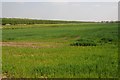 Arable field on Weald Moor