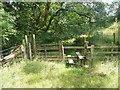 Stile on the footpath from Butter Fields to Beckfoot