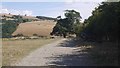 Farm track, Marton Hill