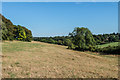TQ2557 : Field above Chipstead Bottom by Ian Capper