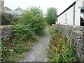 Footpath alongside Hellifield Beck