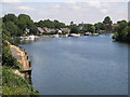 The River Thames downstream of Walton Bridge