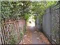 Fountain Lane Path