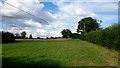 Grassy field at Howle Hill