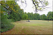 SO9095 : Muchall Park in Penn, Wolverhampton by Roger  D Kidd