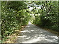 Minor road towards Paythorne Moor