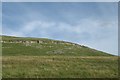 NY6408 : Limestone outcrops, Knott by Richard Webb