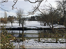 SP2965 : Snow on the banks of the Avon, southeast Warwick by Robin Stott