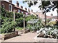 St Benedicts View - Grapes Hill Community Garden