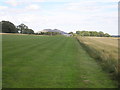 NO3603 : Grass strip by Sandy Gemmill