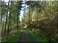 Track in Parc Mawr