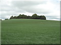 Grazing and woodland, Middle Breaks Hill