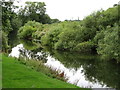 The Swale at Catton