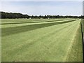 SU9770 : Smith's Lawn polo field by Richard Humphrey