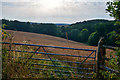 Mid Devon : Crop Field