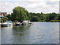 The River Thames by Thames Meadow