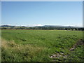 Grassland near Aire View