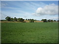 Grassland towards Poverty Hill