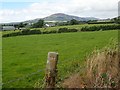 Houses on Morgans Lane, Jonesborough