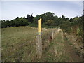 Footpath from Carrs Hill to Barwell